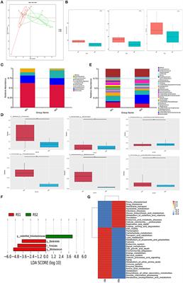 Gut Microbiome and Serum Metabolome Analyses Identify Unsaturated Fatty Acids and Butanoate Metabolism Induced by Gut Microbiota in Patients With Chronic Spontaneous Urticaria